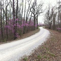 Lockegee Rock and Cave Run Lake